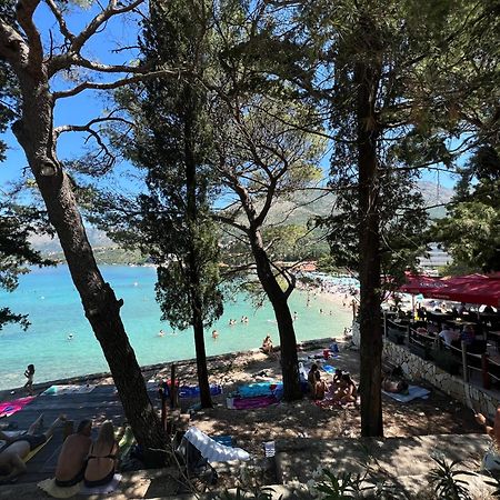 A&M Cavtat Family Apartment - 3 Bedrooms And Free Parking Екстериор снимка
