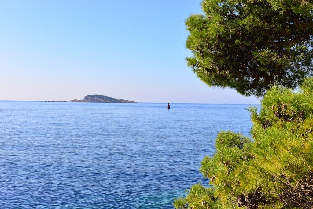 A&M Cavtat Family Apartment - 3 Bedrooms And Free Parking Екстериор снимка